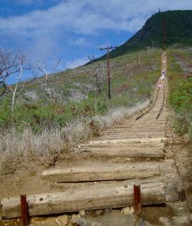 https://mdw-travel-data-us-east-1.s3.amazonaws.com/img/country/United-States/Koko-Crater-Trail/img_01.jpg