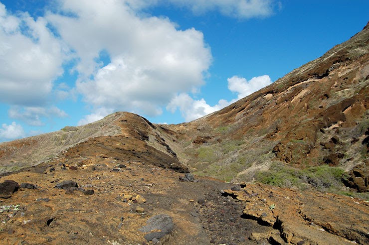 https://mdw-travel-data-us-east-1.s3.amazonaws.com/img/country/United-States/Koko-Crater-Trail/img_02.jpg