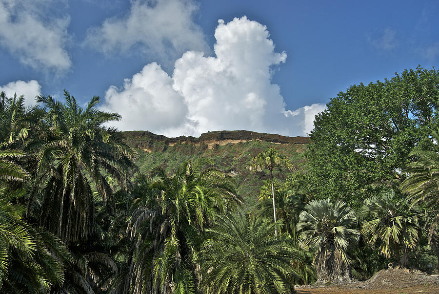 https://mdw-travel-data-us-east-1.s3.amazonaws.com/img/country/United-States/Koko-Crater-Trail/img_03.jpg