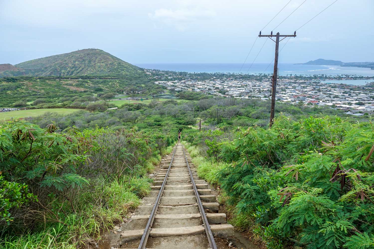 https://mdw-travel-data-us-east-1.s3.amazonaws.com/img/country/United-States/Koko-Crater-Trail/img_04.jpg