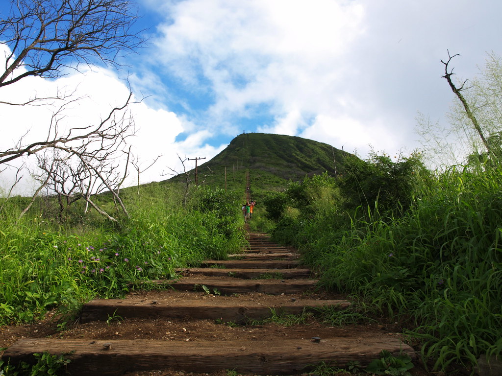 https://mdw-travel-data-us-east-1.s3.amazonaws.com/img/country/United-States/Koko-Crater-Trail/img_05.jpg