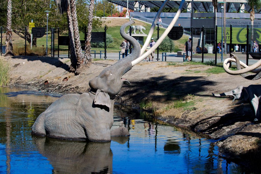https://mdw-travel-data-us-east-1.s3.amazonaws.com/img/country/United-States/La-Brea-Tar-Pits-and-Museum/img_04.jpg