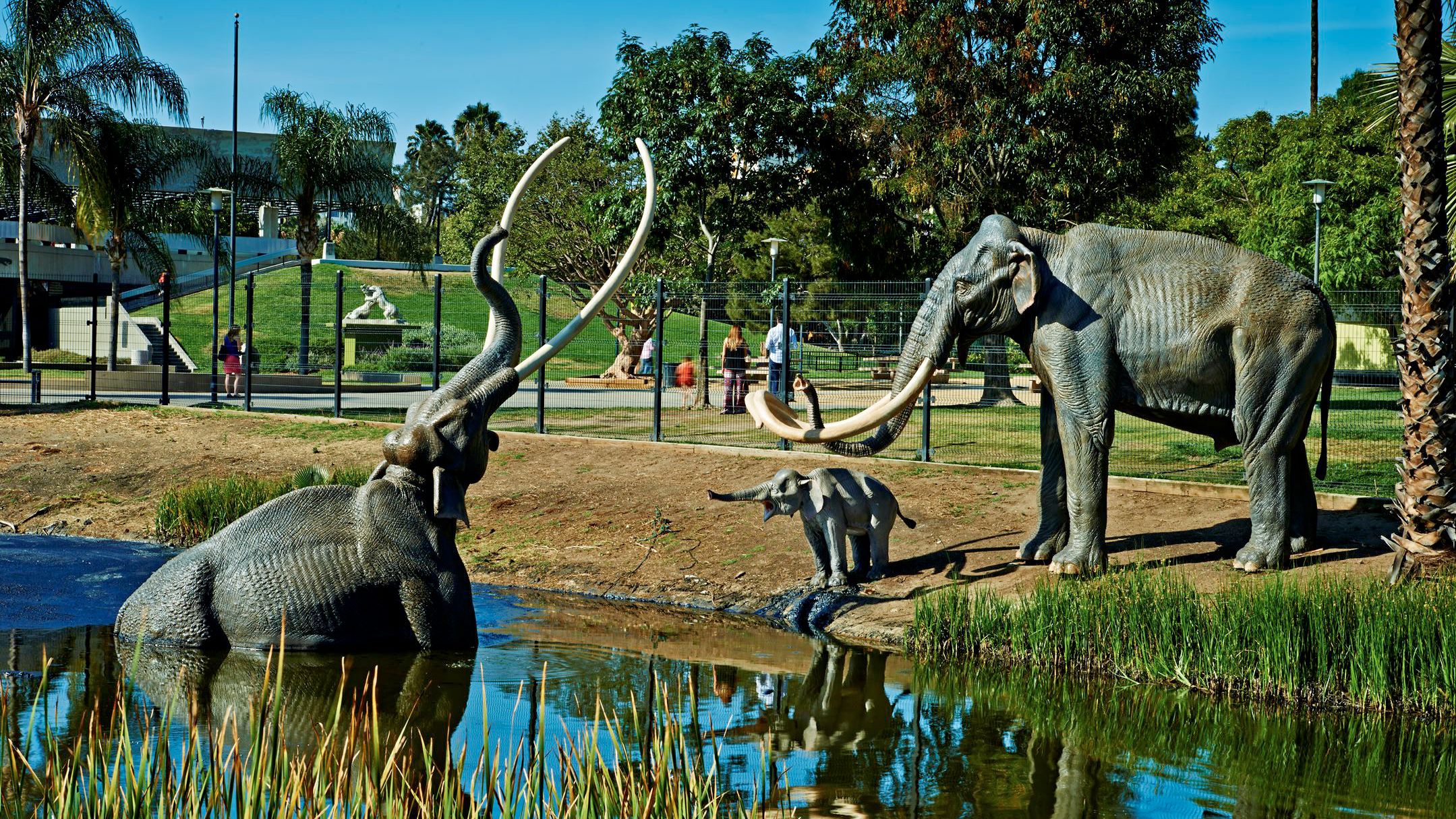 https://mdw-travel-data-us-east-1.s3.amazonaws.com/img/country/United-States/La-Brea-Tar-Pits-and-Museum/img_05.jpg