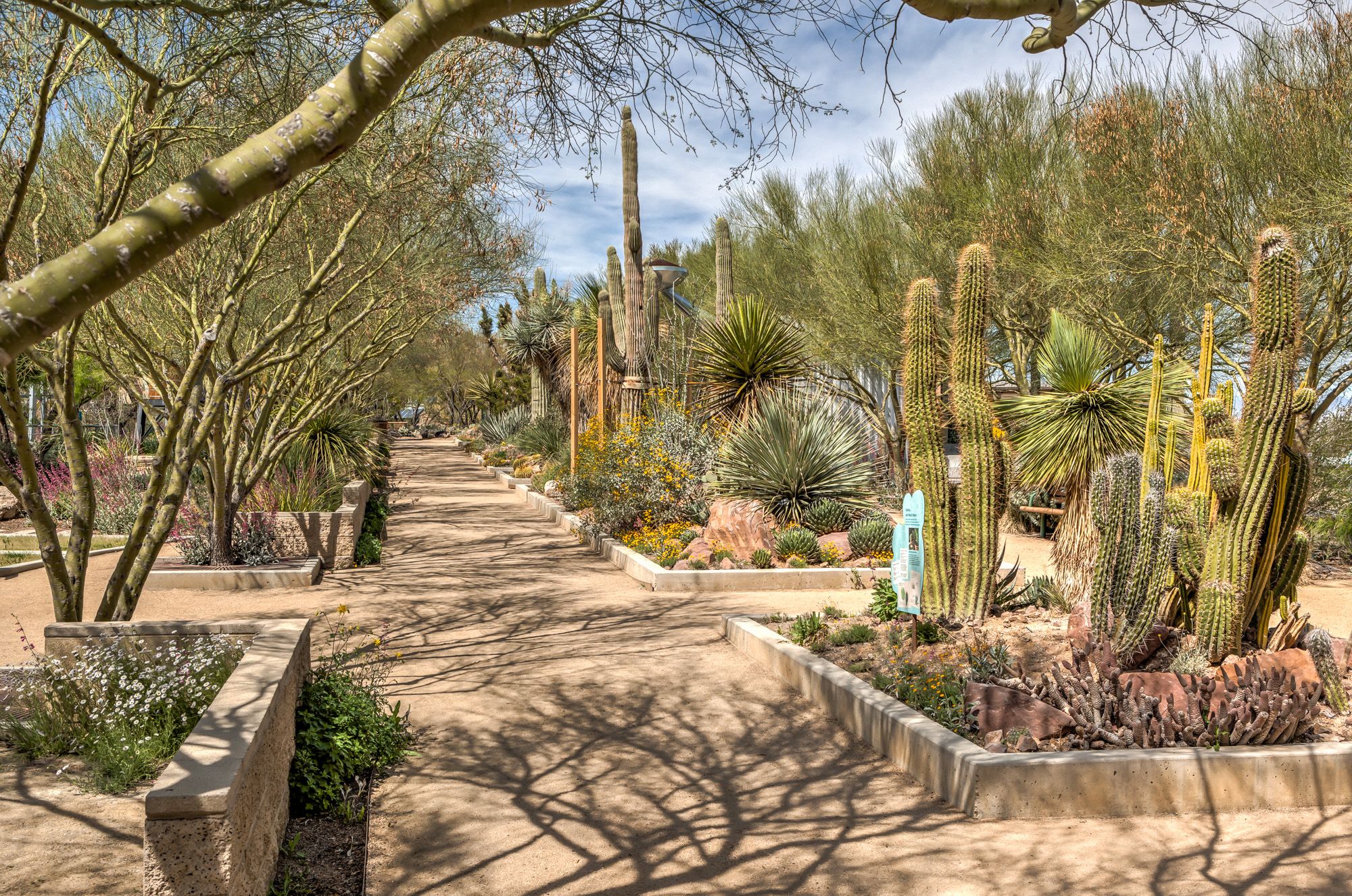 https://mdw-travel-data-us-east-1.s3.amazonaws.com/img/country/United-States/Las-Vegas-Springs-Preserve/img_03.jpg