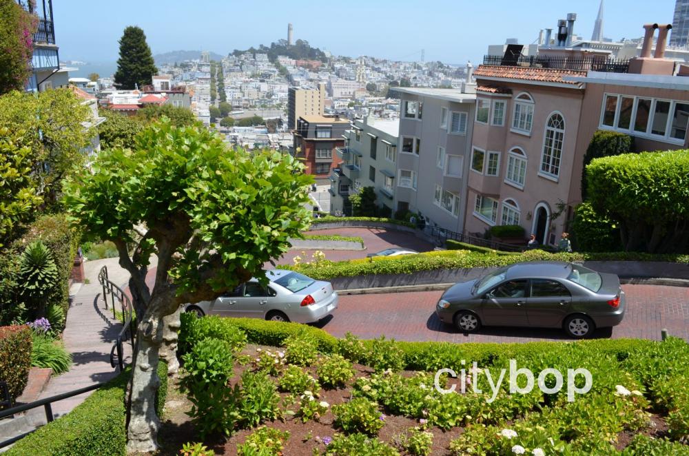 https://mdw-travel-data-us-east-1.s3.amazonaws.com/img/country/United-States/Lombard-Street/img_02.jpg