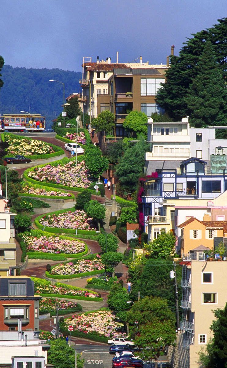 https://mdw-travel-data-us-east-1.s3.amazonaws.com/img/country/United-States/Lombard-Street/img_03.jpg