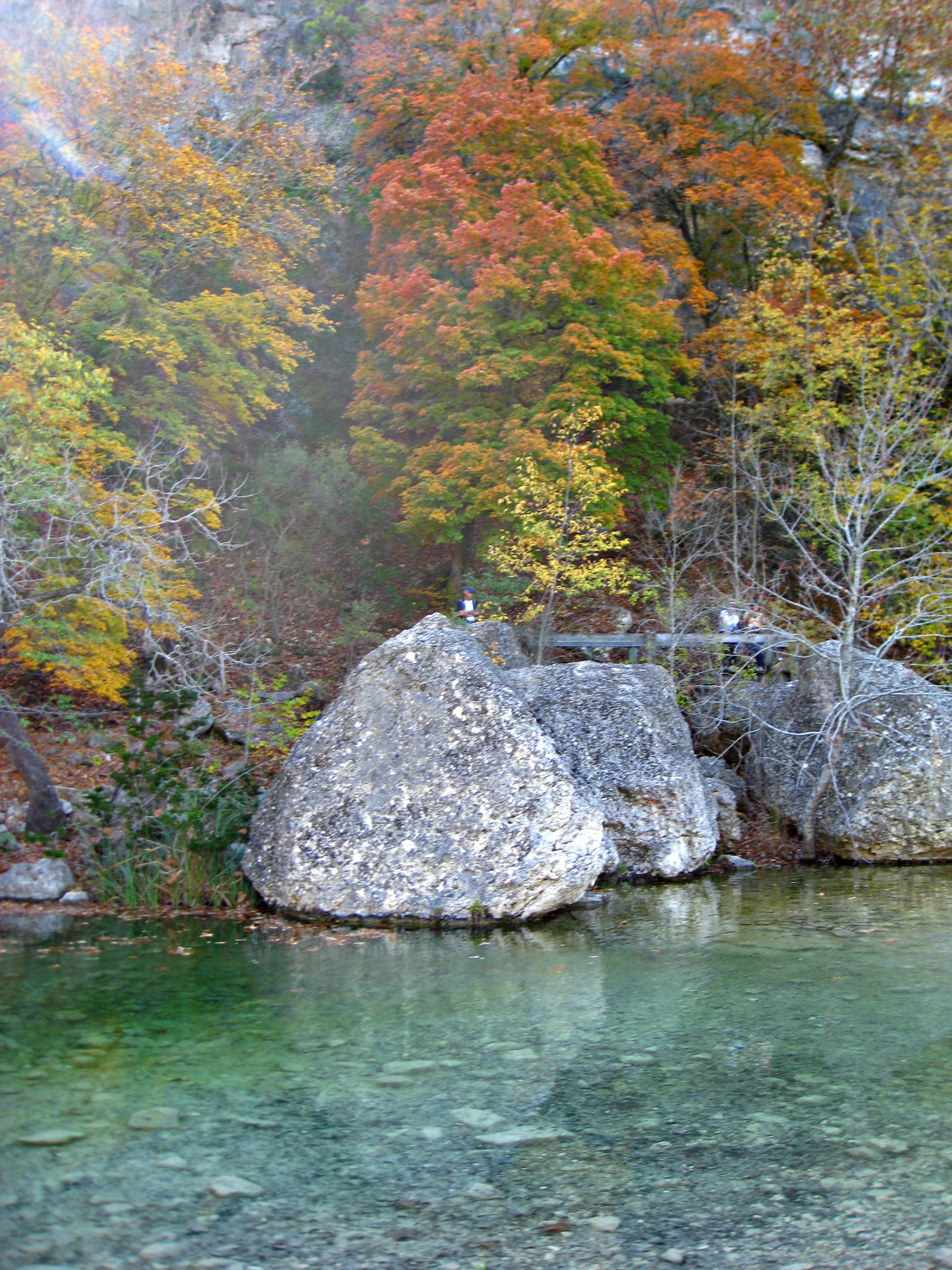 https://mdw-travel-data-us-east-1.s3.amazonaws.com/img/country/United-States/Lost-Maples-State-Natural-Area/img_01.jpg
