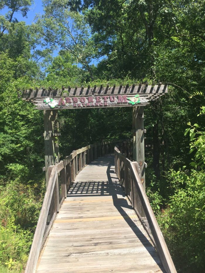 https://mdw-travel-data-us-east-1.s3.amazonaws.com/img/country/United-States/Louisiana-State-Arboretum/img_03.jpg