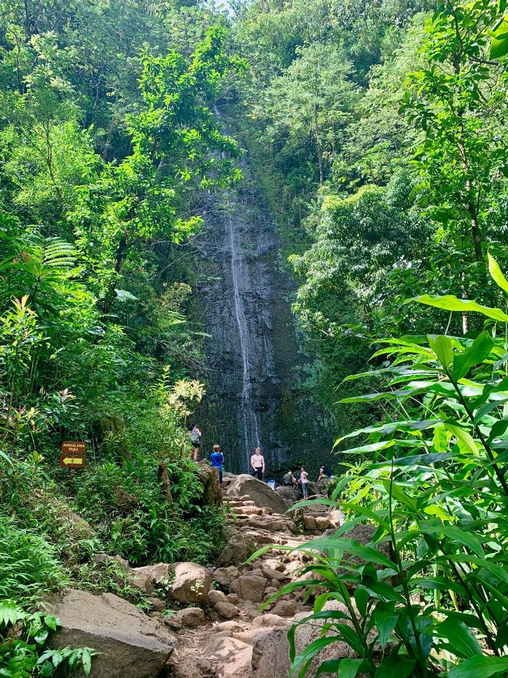 https://mdw-travel-data-us-east-1.s3.amazonaws.com/img/country/United-States/Manoa-Falls/img_01.jpg