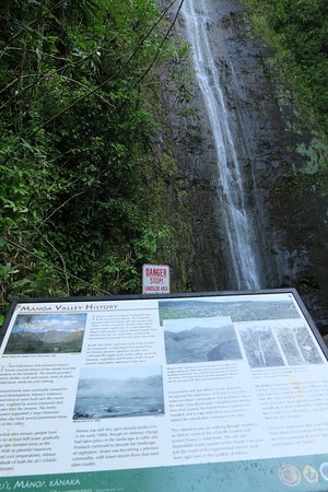 https://mdw-travel-data-us-east-1.s3.amazonaws.com/img/country/United-States/Manoa-Falls/img_02.jpg