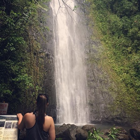 https://mdw-travel-data-us-east-1.s3.amazonaws.com/img/country/United-States/Manoa-Falls/img_03.jpg