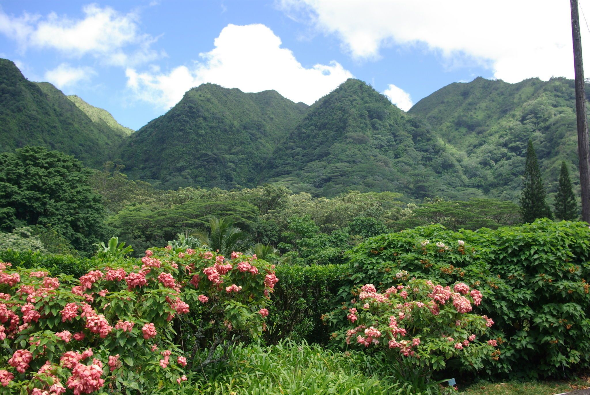 https://mdw-travel-data-us-east-1.s3.amazonaws.com/img/country/United-States/Manoa-Trail/img_01.jpg