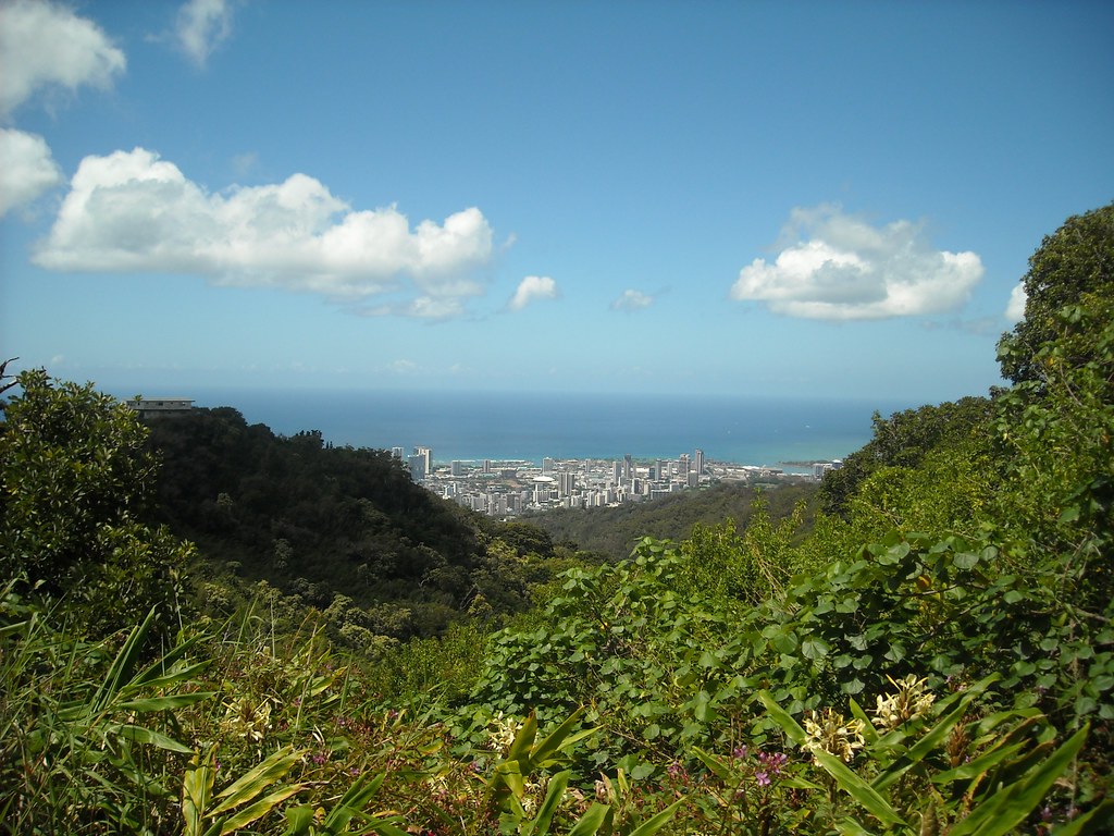 https://mdw-travel-data-us-east-1.s3.amazonaws.com/img/country/United-States/Manoa-Trail/img_02.jpg