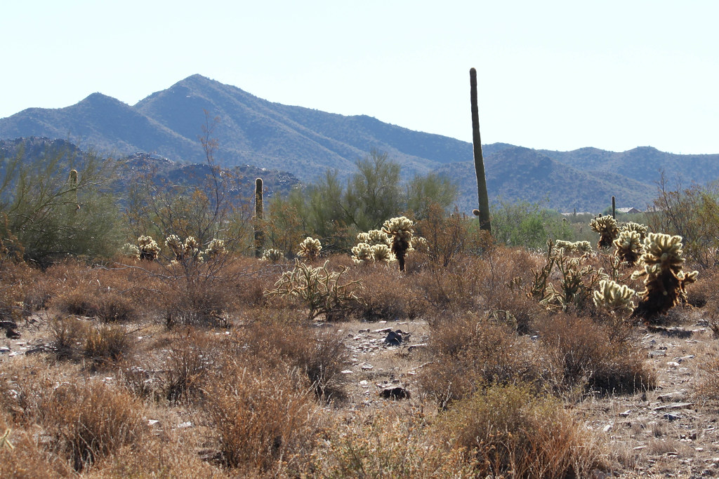 https://mdw-travel-data-us-east-1.s3.amazonaws.com/img/country/United-States/McDowell-Sonoran-Preserve/img_01.jpg