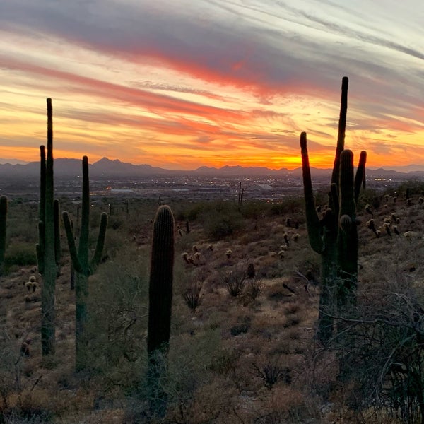 https://mdw-travel-data-us-east-1.s3.amazonaws.com/img/country/United-States/McDowell-Sonoran-Preserve/img_03.jpg
