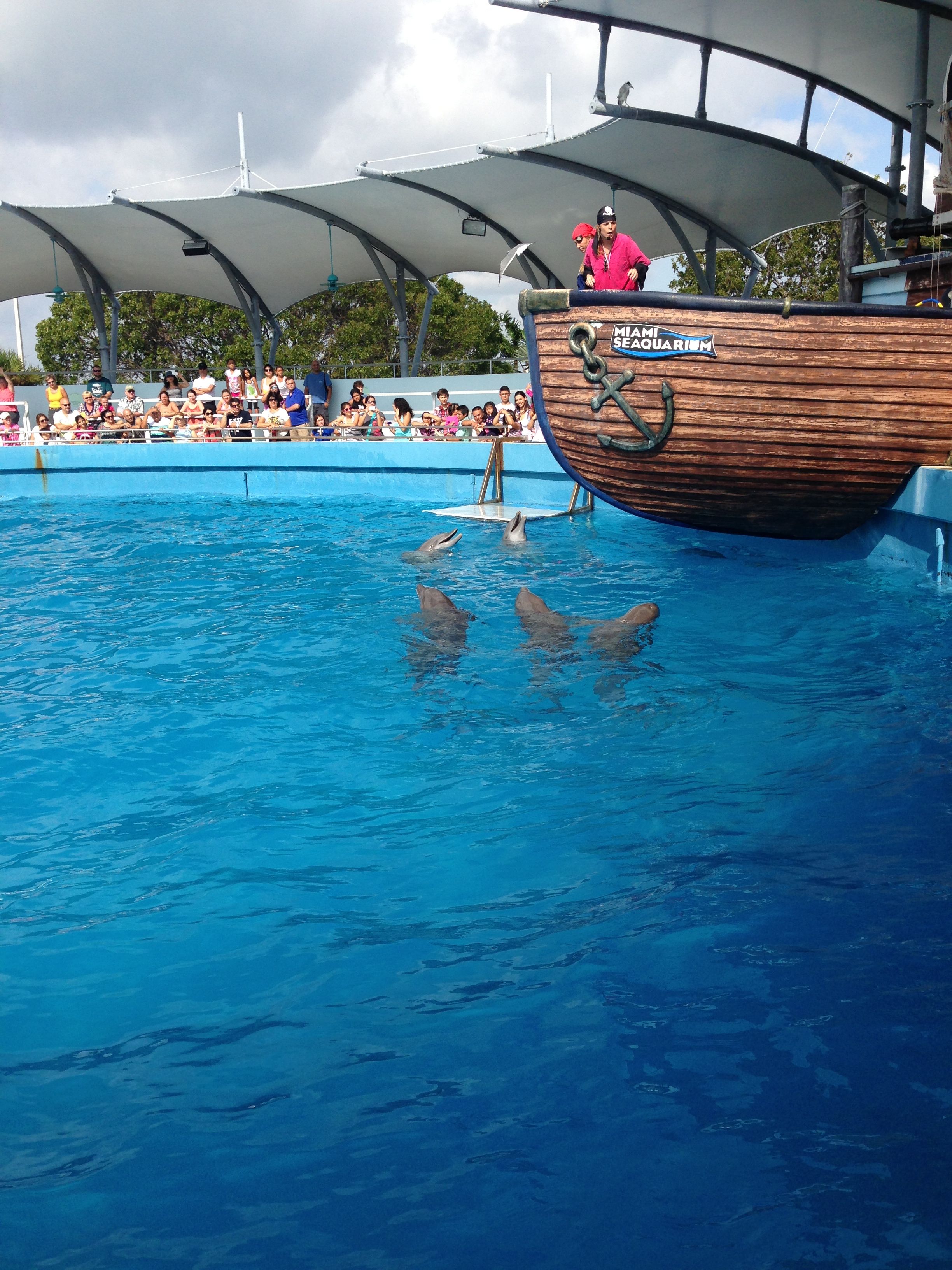 https://mdw-travel-data-us-east-1.s3.amazonaws.com/img/country/United-States/Miami-Seaquarium/img_00.jpg