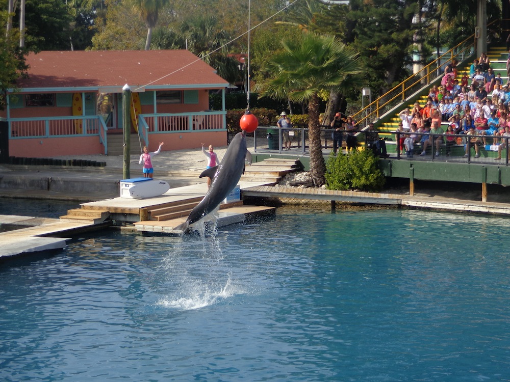 https://mdw-travel-data-us-east-1.s3.amazonaws.com/img/country/United-States/Miami-Seaquarium/img_01.jpg