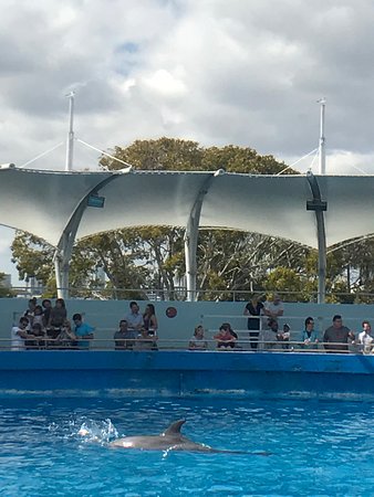 https://mdw-travel-data-us-east-1.s3.amazonaws.com/img/country/United-States/Miami-Seaquarium/img_05.jpg