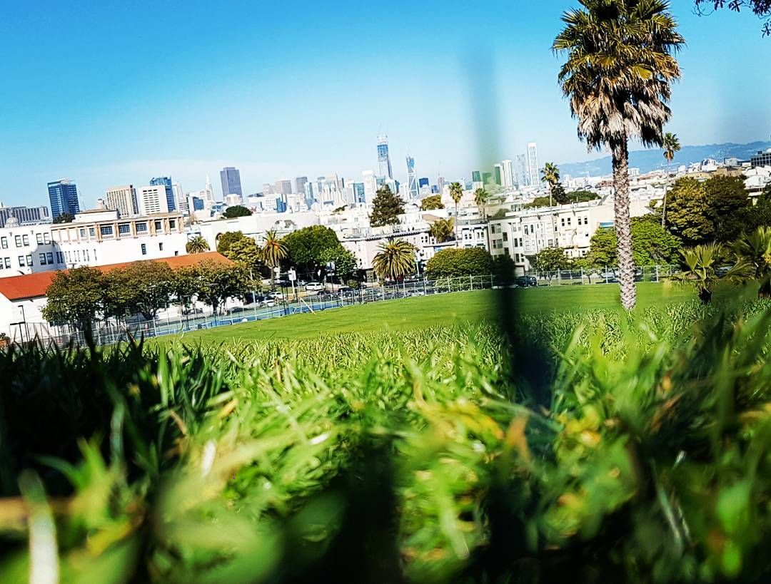 https://mdw-travel-data-us-east-1.s3.amazonaws.com/img/country/United-States/Mission-Dolores-Park/img_01.jpg