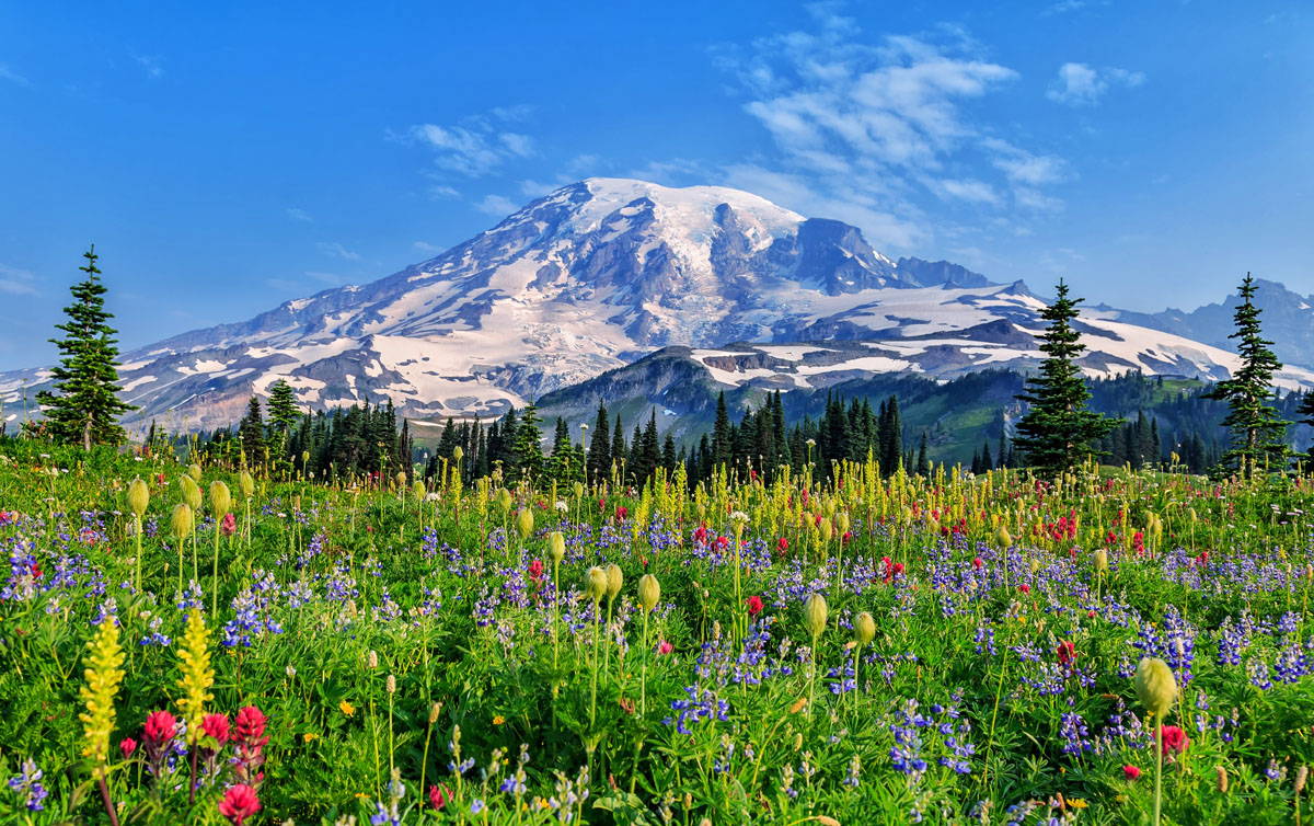 https://mdw-travel-data-us-east-1.s3.amazonaws.com/img/country/United-States/Mount-Rainier-National-Park/img_02.jpg