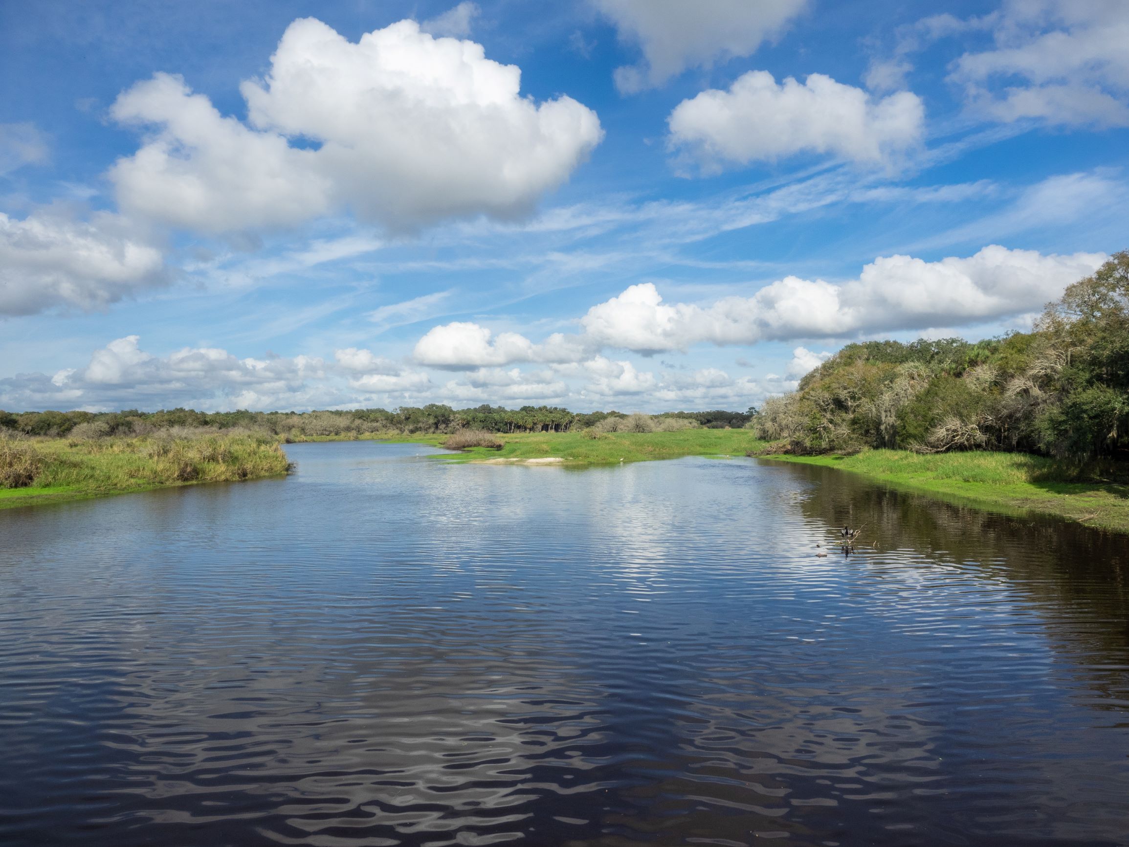 https://mdw-travel-data-us-east-1.s3.amazonaws.com/img/country/United-States/Myakka-River-State-Park/img_01.jpg