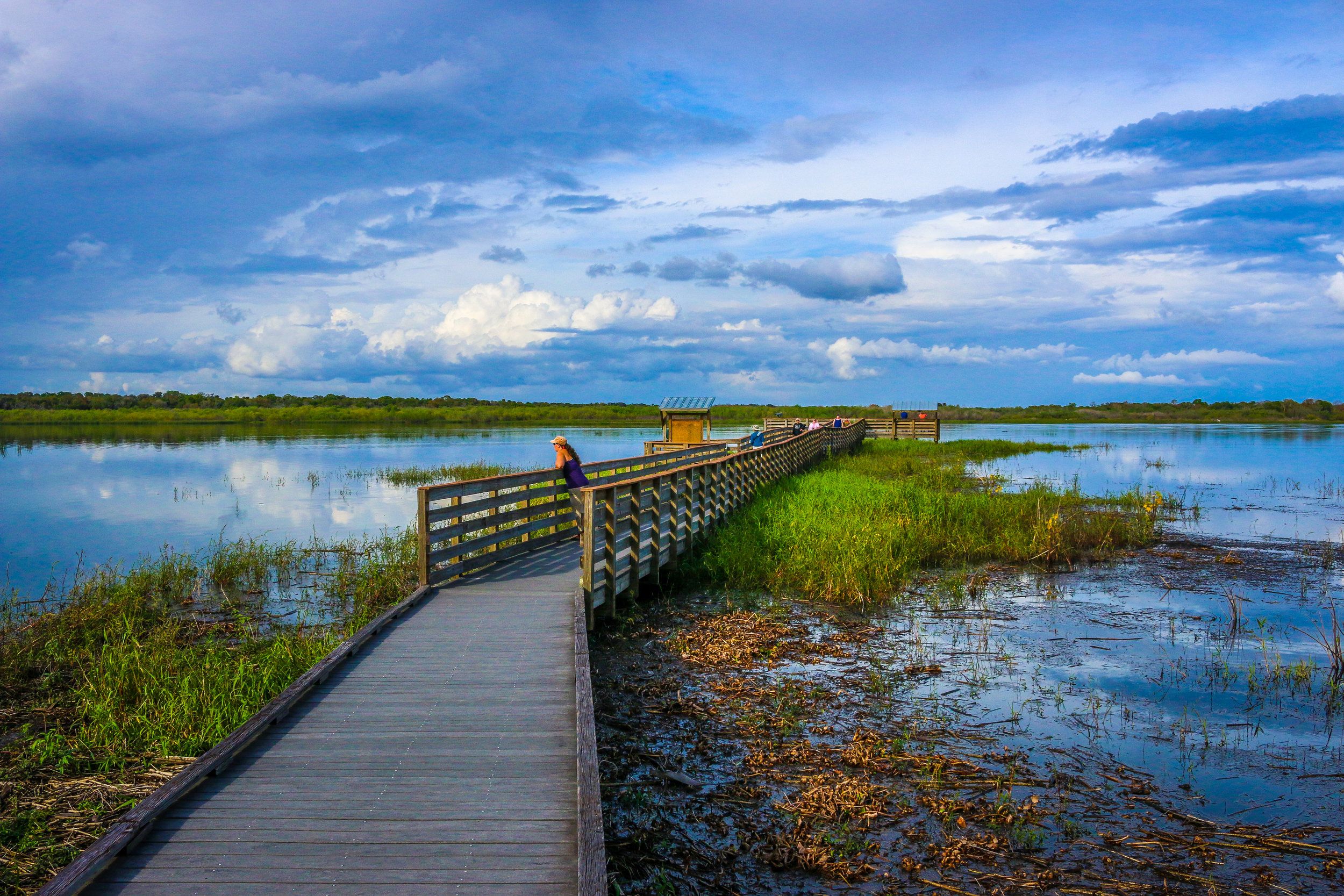 https://mdw-travel-data-us-east-1.s3.amazonaws.com/img/country/United-States/Myakka-River-State-Park/img_02.jpg
