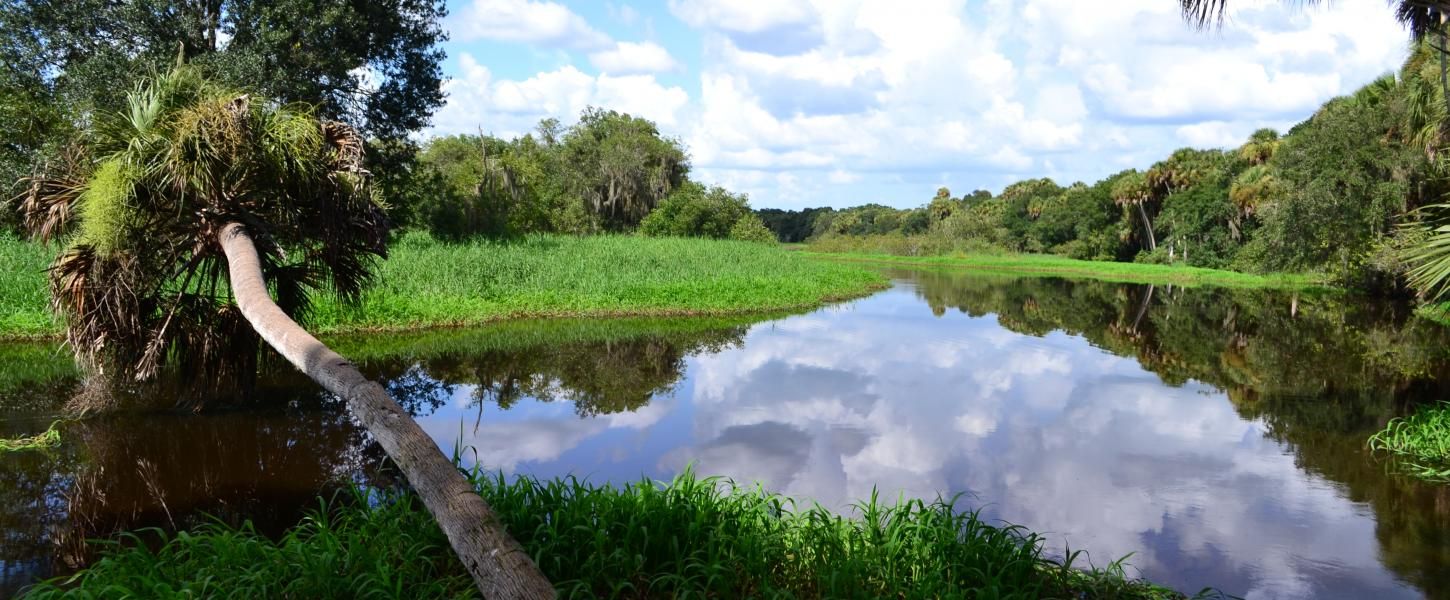https://mdw-travel-data-us-east-1.s3.amazonaws.com/img/country/United-States/Myakka-River-State-Park/img_03.jpg