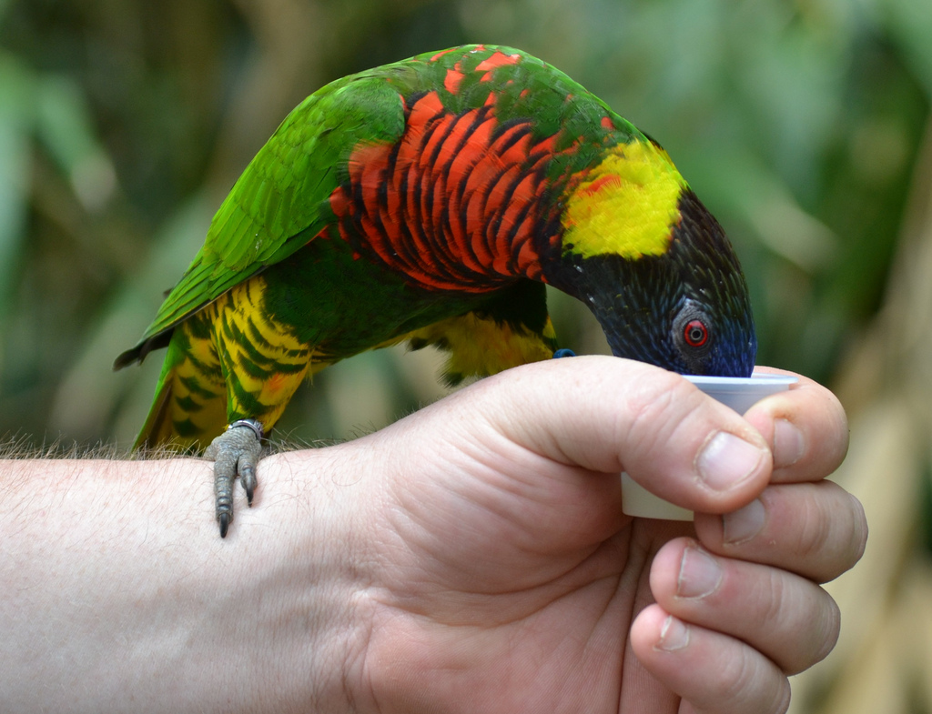 https://mdw-travel-data-us-east-1.s3.amazonaws.com/img/country/United-States/Nashville-Zoo-at-Grassmere/img_01.jpg