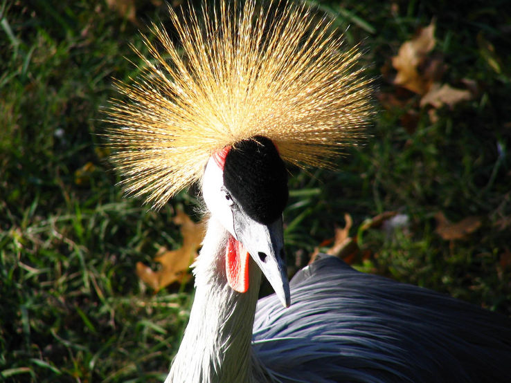 https://mdw-travel-data-us-east-1.s3.amazonaws.com/img/country/United-States/Nashville-Zoo-at-Grassmere/img_03.jpg