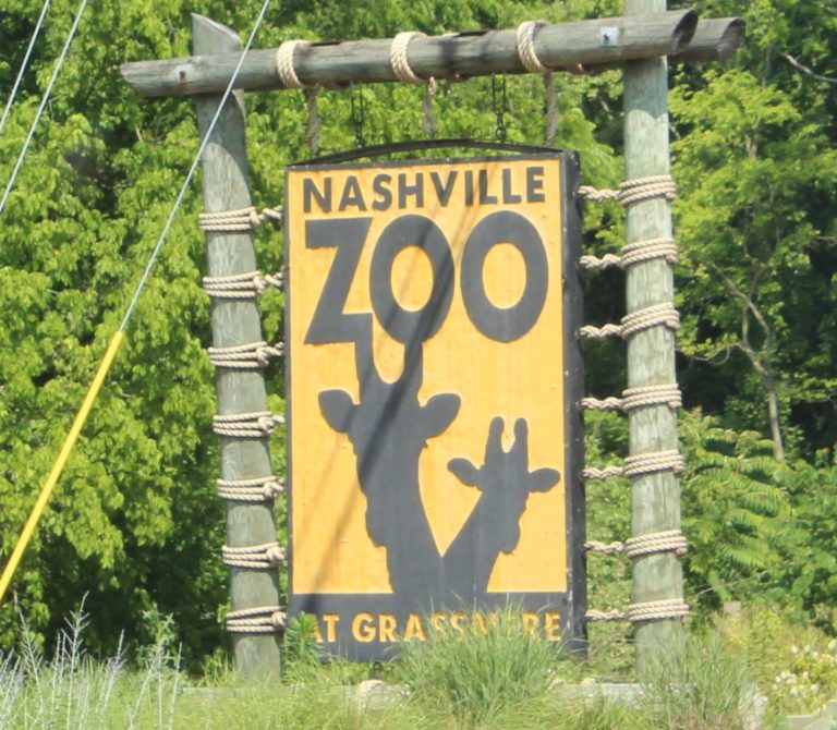 https://mdw-travel-data-us-east-1.s3.amazonaws.com/img/country/United-States/Nashville-Zoo-at-Grassmere/img_05.jpg