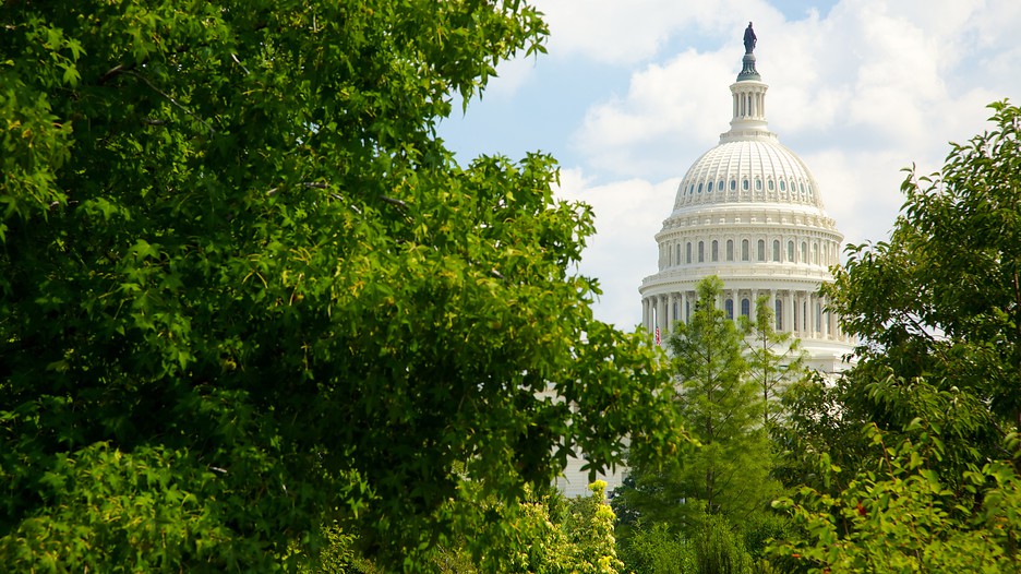 https://mdw-travel-data-us-east-1.s3.amazonaws.com/img/country/United-States/National-Mall/img_03.jpg