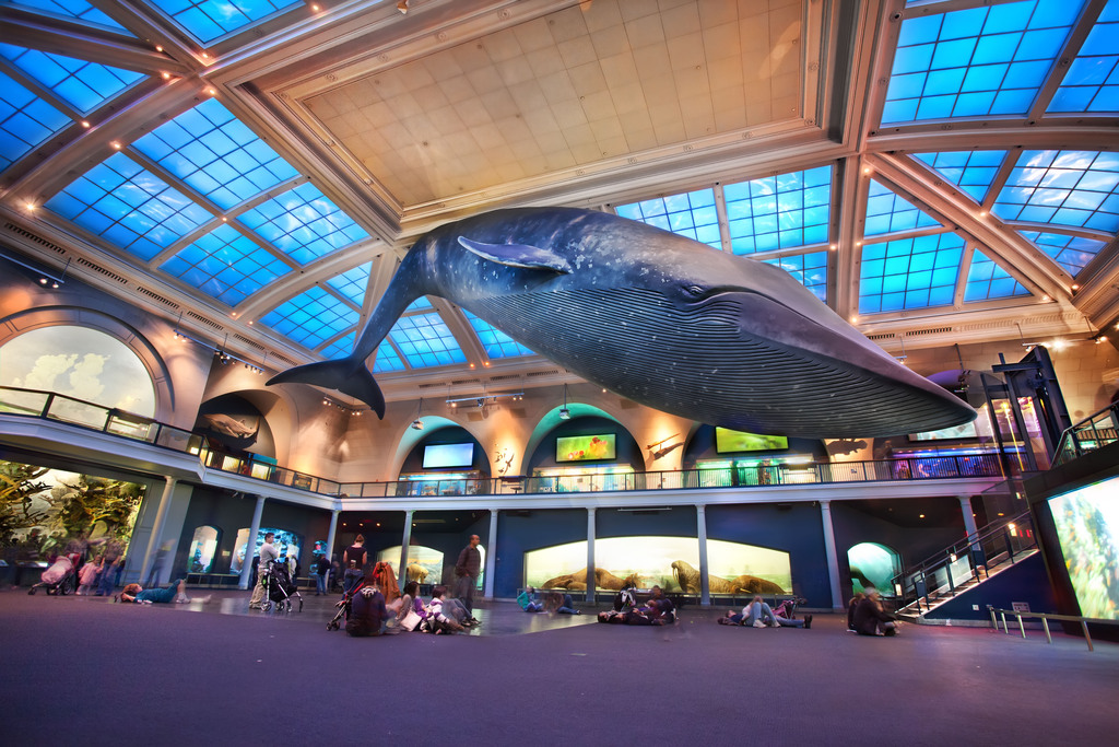 https://mdw-travel-data-us-east-1.s3.amazonaws.com/img/country/United-States/National-Museum-of-Natural-History/img_03.jpg