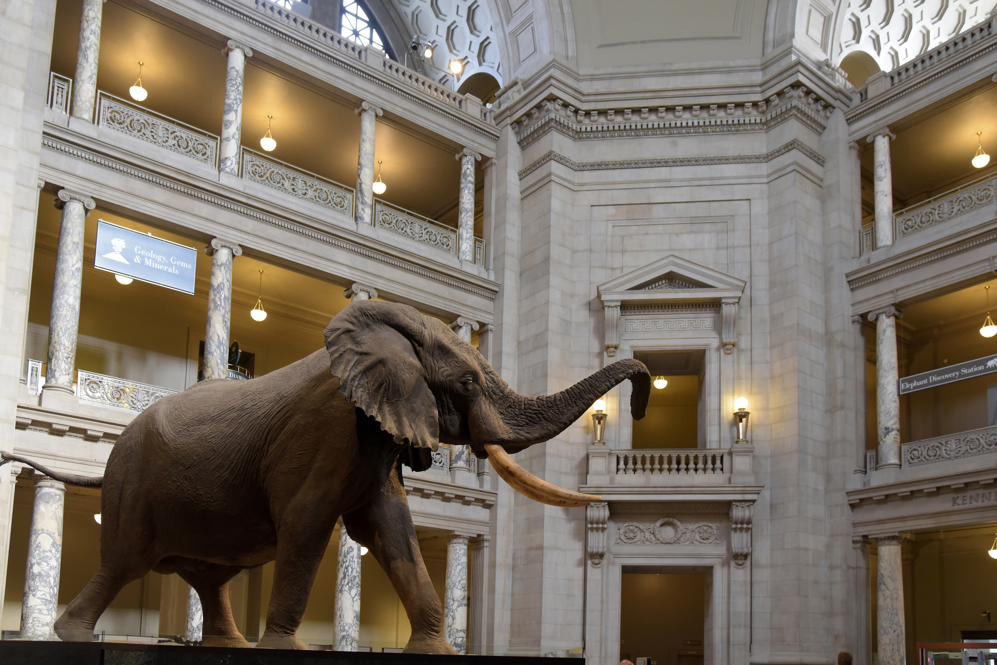 https://mdw-travel-data-us-east-1.s3.amazonaws.com/img/country/United-States/National-Museum-of-Natural-History/img_05.jpg