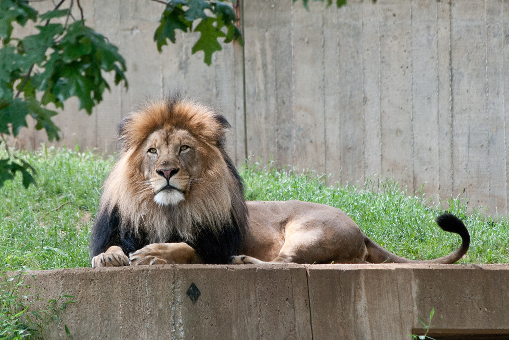 https://mdw-travel-data-us-east-1.s3.amazonaws.com/img/country/United-States/National-Zoological-Park/img_02.jpg