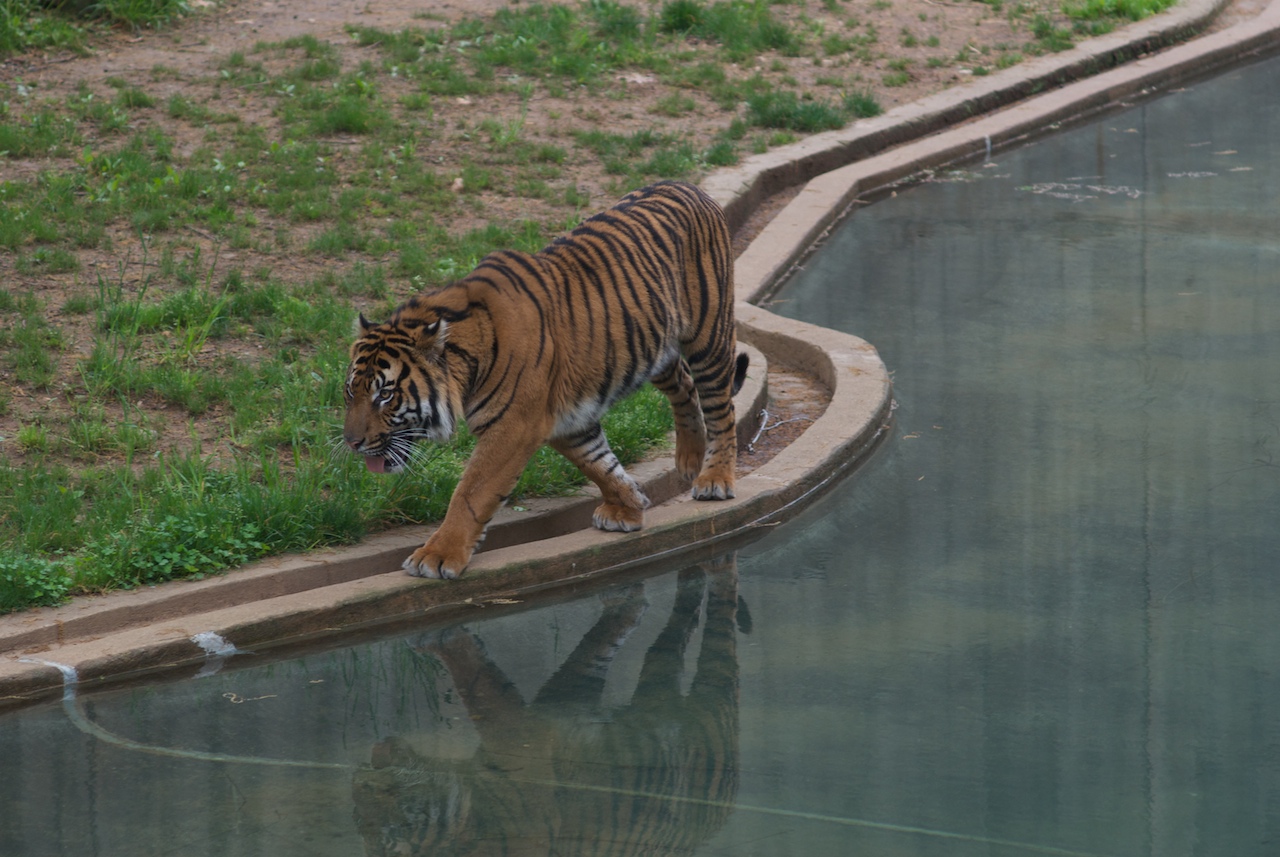 https://mdw-travel-data-us-east-1.s3.amazonaws.com/img/country/United-States/National-Zoological-Park/img_03.jpg