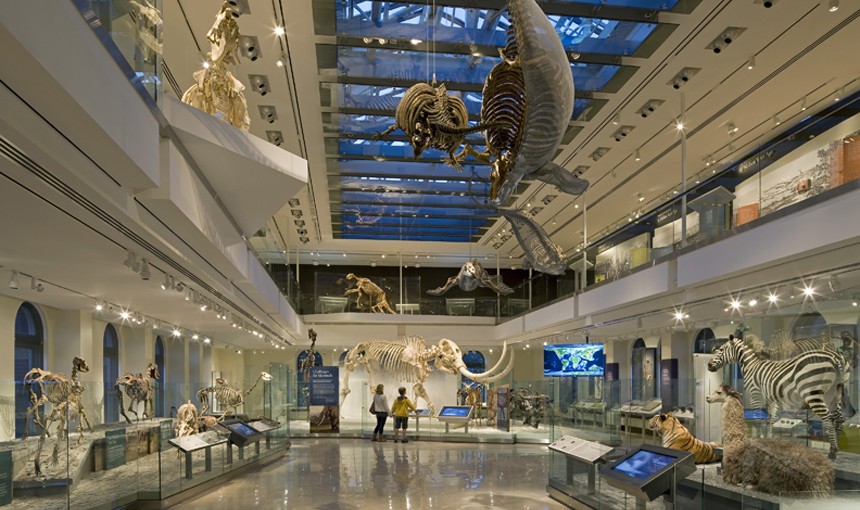 https://mdw-travel-data-us-east-1.s3.amazonaws.com/img/country/United-States/Natural-History-Museum-of-Los-Angeles-County/img_01.jpg