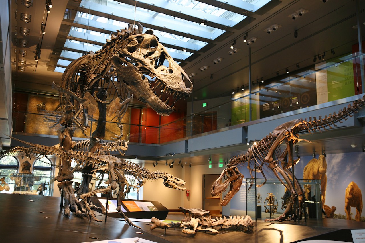https://mdw-travel-data-us-east-1.s3.amazonaws.com/img/country/United-States/Natural-History-Museum-of-Los-Angeles-County/img_04.jpg