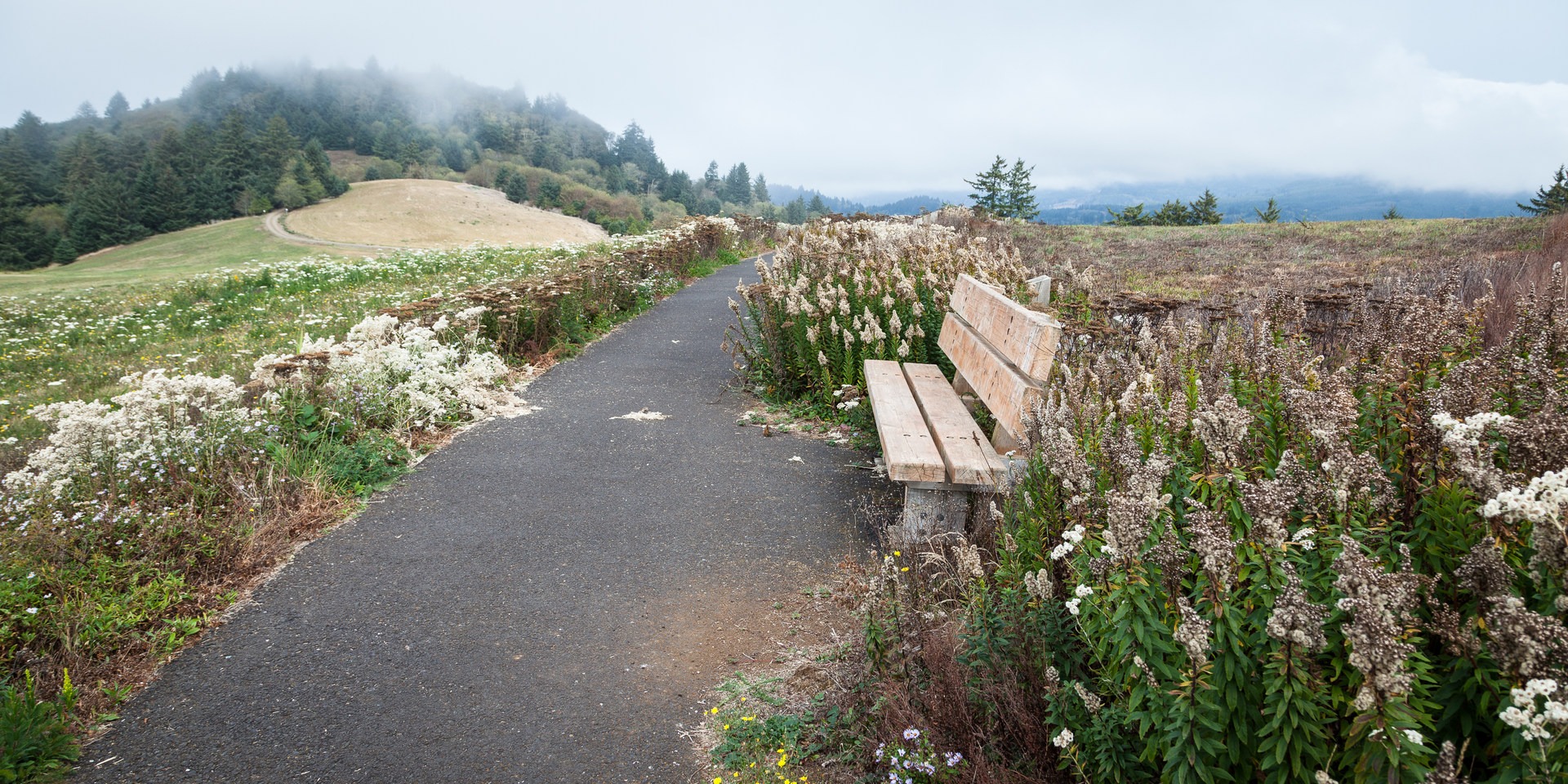 https://mdw-travel-data-us-east-1.s3.amazonaws.com/img/country/United-States/Nestucca-Bay-National-Wildlife-Refuge/img_01.jpg