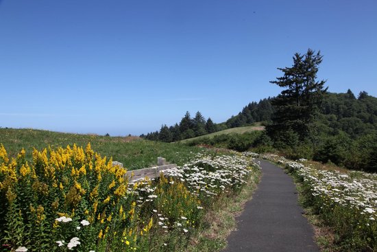 https://mdw-travel-data-us-east-1.s3.amazonaws.com/img/country/United-States/Nestucca-Bay-National-Wildlife-Refuge/img_02.jpg