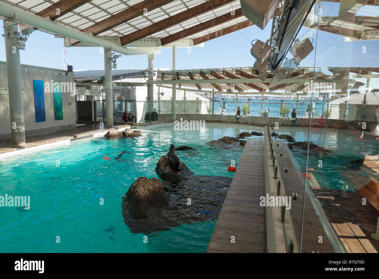 https://mdw-travel-data-us-east-1.s3.amazonaws.com/img/country/United-States/New-England-Aquarium/img_01.jpg
