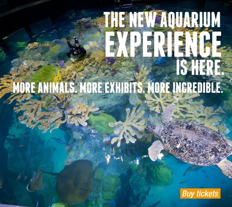 https://mdw-travel-data-us-east-1.s3.amazonaws.com/img/country/United-States/New-England-Aquarium/img_02.jpg