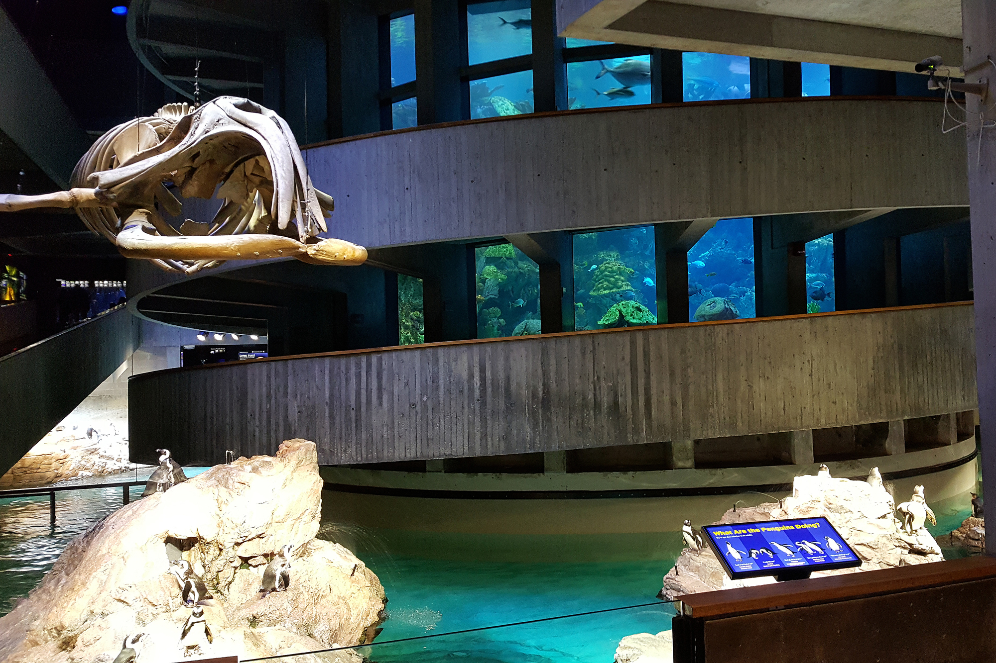 https://mdw-travel-data-us-east-1.s3.amazonaws.com/img/country/United-States/New-England-Aquarium/img_04.jpg