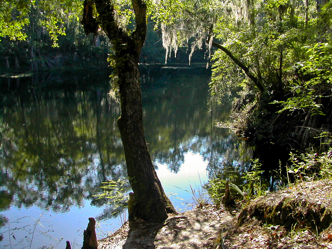 https://mdw-travel-data-us-east-1.s3.amazonaws.com/img/country/United-States/OLeno-State-Park/img_03.jpg