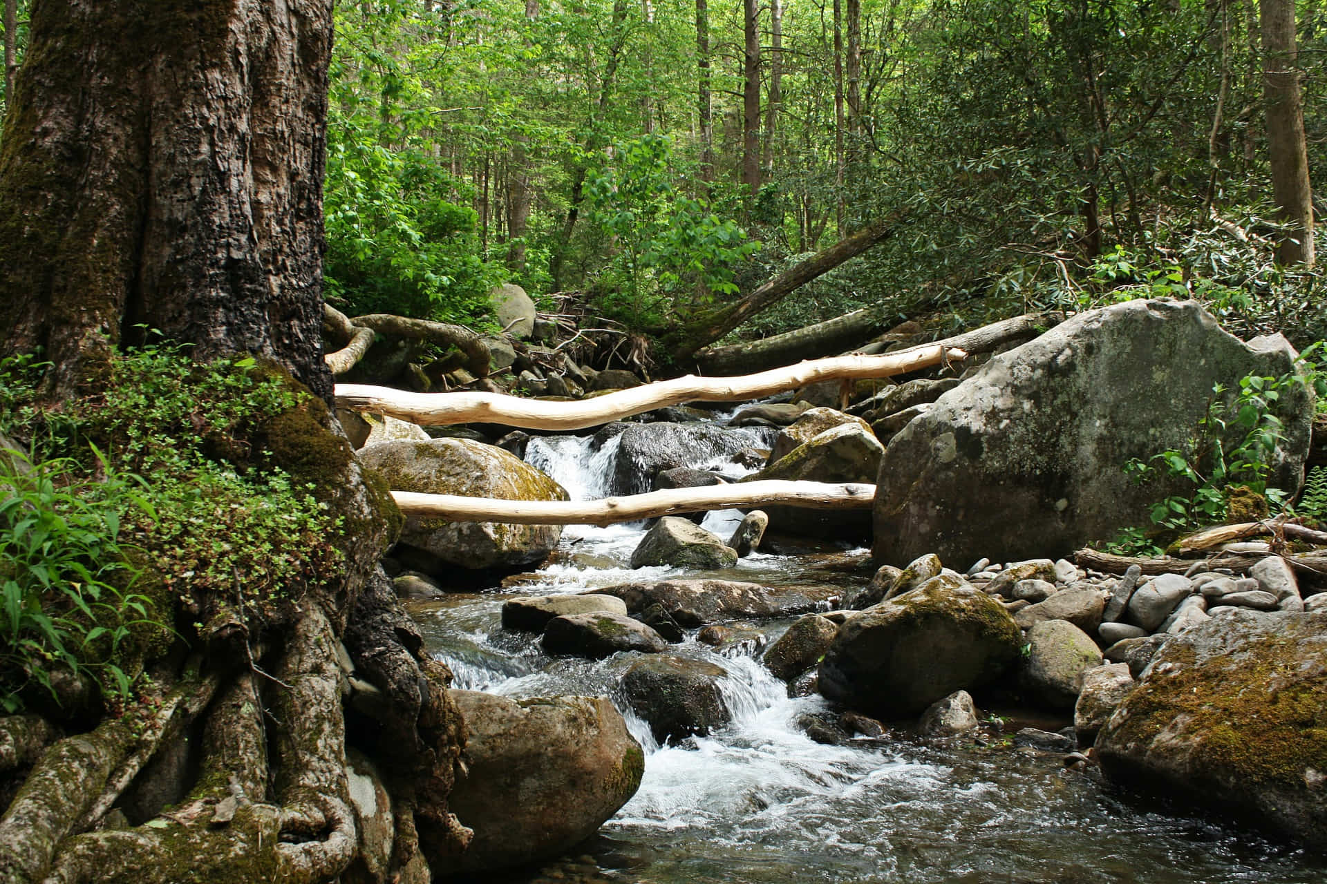 https://mdw-travel-data-us-east-1.s3.amazonaws.com/img/country/United-States/Ober-Gatlinburg/img_03.jpg
