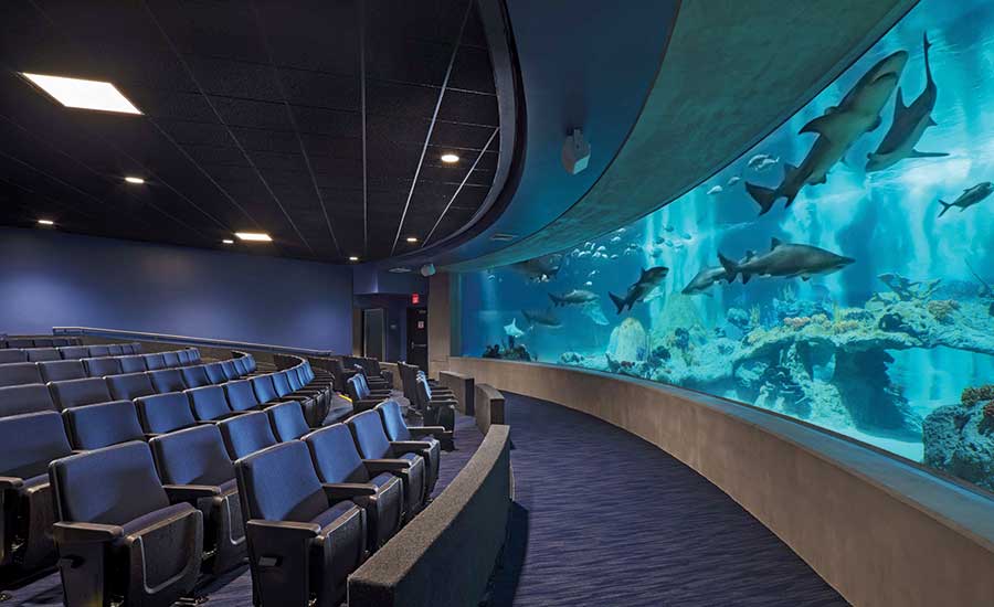 https://mdw-travel-data-us-east-1.s3.amazonaws.com/img/country/United-States/OdySea-Aquarium/img_01.jpg