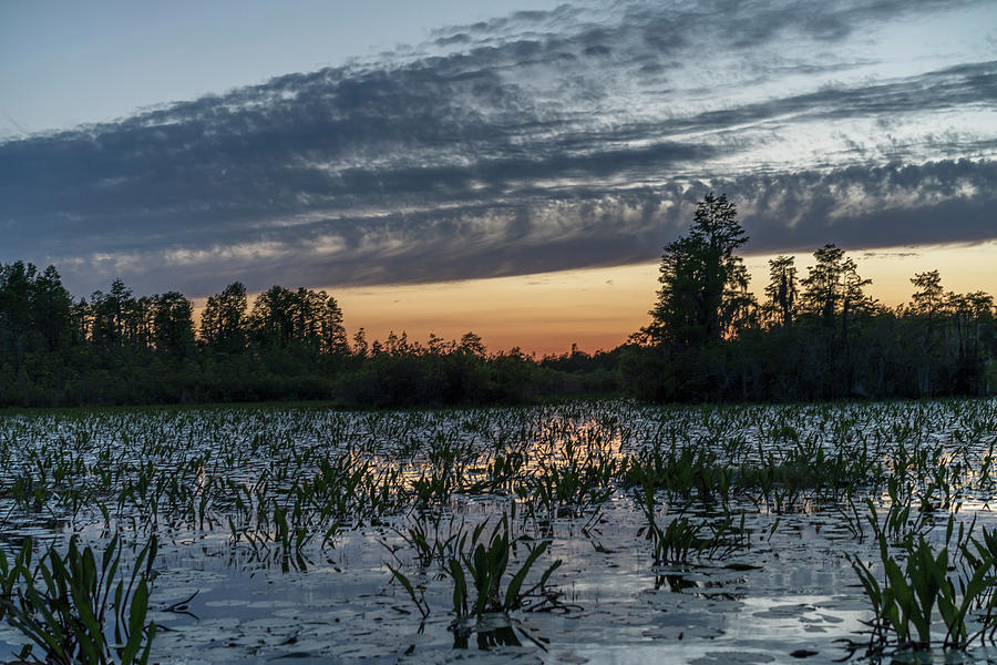 https://mdw-travel-data-us-east-1.s3.amazonaws.com/img/country/United-States/Okefenokee-National-Wildlife-Refuge/img_03.jpg