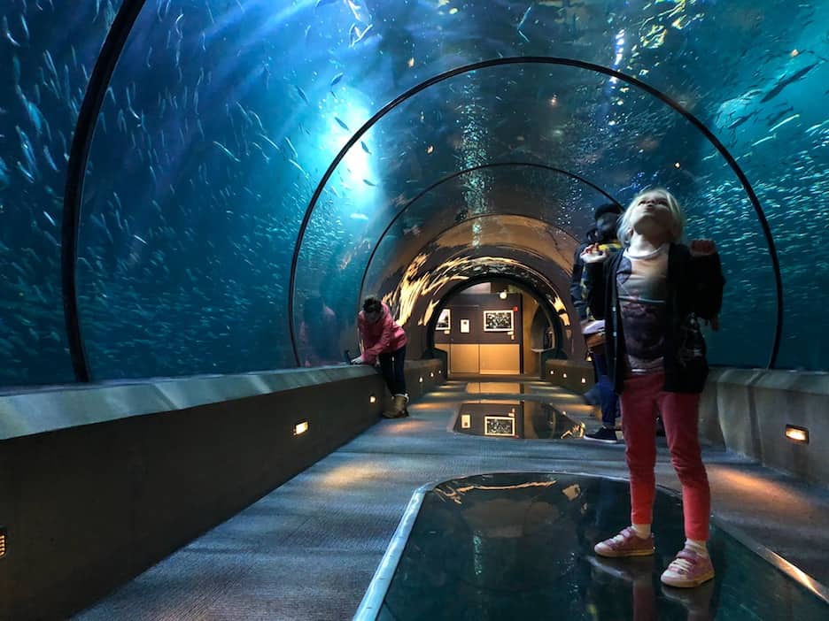 https://mdw-travel-data-us-east-1.s3.amazonaws.com/img/country/United-States/Oregon-Coast-Aquarium/img_02.jpg