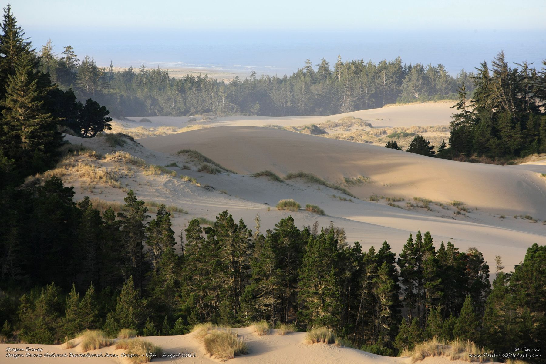 https://mdw-travel-data-us-east-1.s3.amazonaws.com/img/country/United-States/Oregon-Dunes-National-Recreation-Area/img_02.jpg