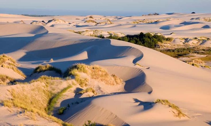https://mdw-travel-data-us-east-1.s3.amazonaws.com/img/country/United-States/Oregon-Dunes-National-Recreation-Area/img_03.jpg