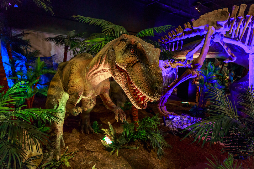 https://mdw-travel-data-us-east-1.s3.amazonaws.com/img/country/United-States/Oregon-Museum-of-Science-and-Industry/img_01.jpg